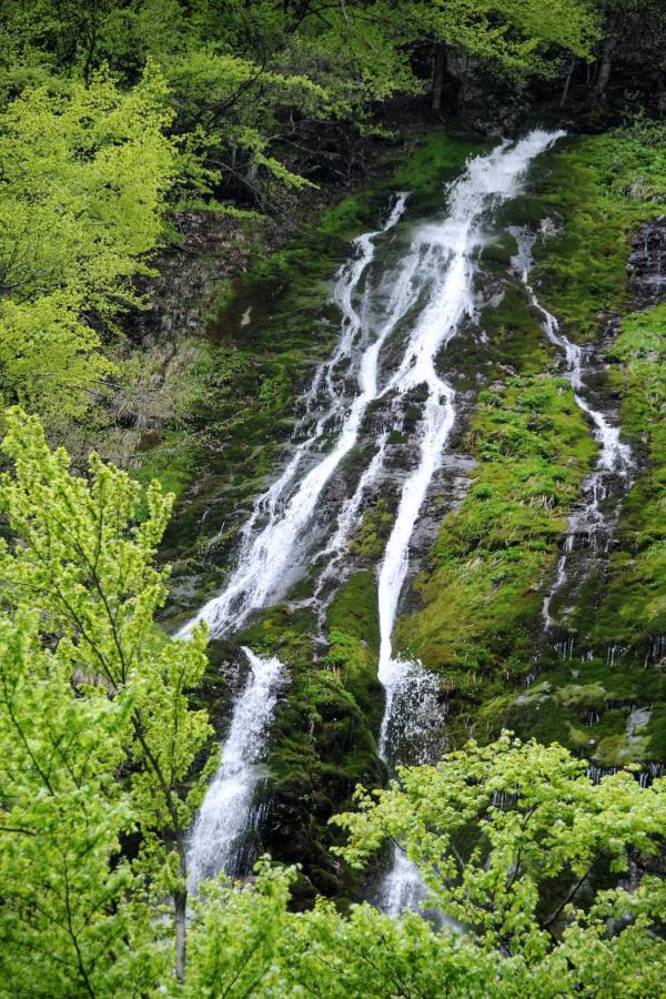 Gorska Hiska Vogar Nad Bohinjskim Jezerom Exterior foto